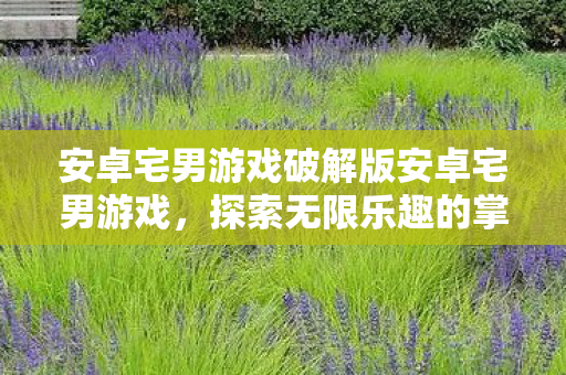 安卓宅男游戏破解版安卓宅男游戏，探索无限乐趣的掌上世界，解锁无限乐趣，安卓宅男游戏破解版，掌上世界任你探索