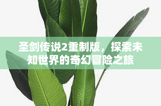 圣剑传说2重制版，探索未知世界的奇幻冒险之旅