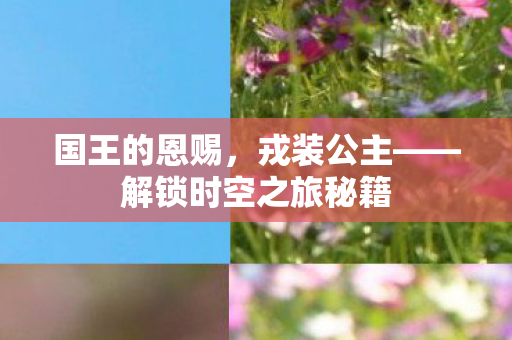 国王的恩赐,戎装公主——解锁时空之旅秘籍 国王的恩赐,戎装公主——解锁时空之旅秘籍