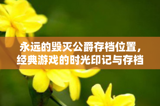 永远的毁灭公爵存档位置，经典游戏的时光印记与存档管理