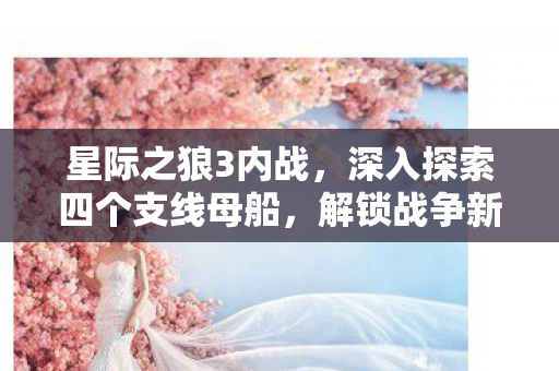 深入探索四个支线母船图片