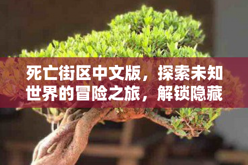死亡街区中文版，探索未知世界的冒险之旅，解锁隐藏秘密！