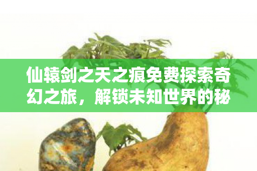 仙辕剑之天之痕免费探索奇幻之旅,解锁未知世界的秘密 仙辕剑之天之痕免费探索奇幻之旅,解锁未知世界的秘密