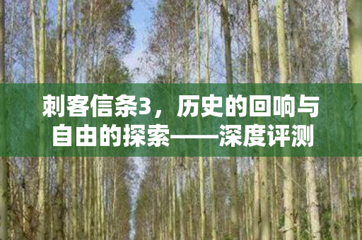 刺客信条3,历史的回响与自由的探索——深度评测 刺客信条3,历史的回响与自由的探索——深度评测