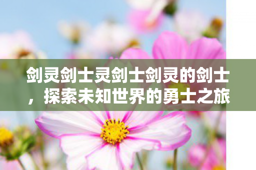 剑灵剑士灵剑士剑灵的剑士，探索未知世界的勇士之旅