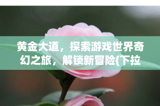 黄金大道,探索游戏世界奇幻之旅,解锁新冒险{下拉词} 黄金大道,探索游戏世界奇幻之旅,解锁新冒险{下拉词}