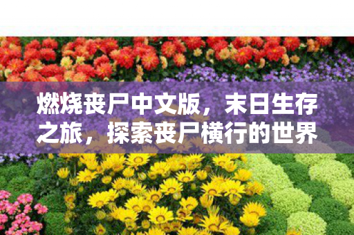 燃烧丧尸中文版,末日生存之旅,探索丧尸横行的世界! 燃烧丧尸中文版,末日生存之旅,探索丧尸横行的世界!