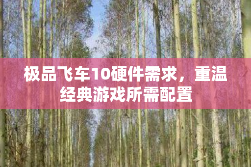 极品飞车10硬件需求图片