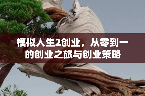 从零到一的创业之旅与创业策略图片
