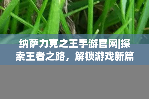 纳萨力克之王手游官网|探索王者之路，解锁游戏新篇章