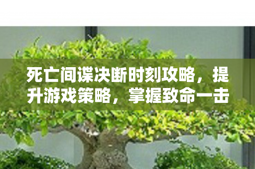 死亡间谍决断时刻攻略,提升游戏策略,掌握致命一击技巧 死亡间谍决断时刻攻略,提升游戏策略,掌握致命一击技巧
