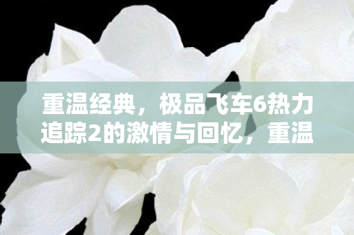 极品飞车6热力追踪2的激情与回忆图片