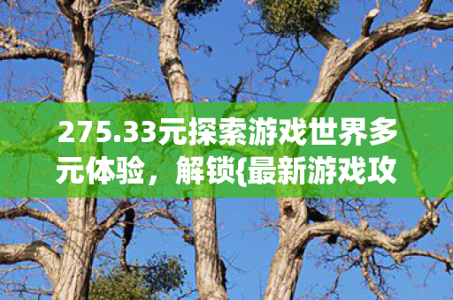 33元探索游戏世界多元体验图片