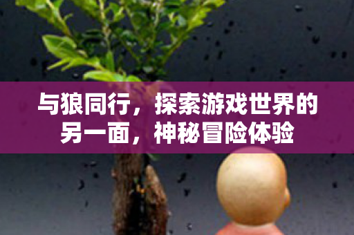 与狼同行，探索游戏世界的另一面，神秘冒险体验
