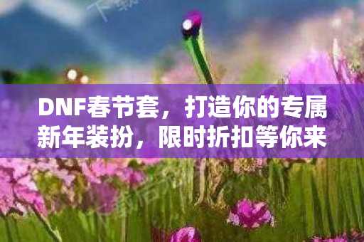 DNF春节套，打造你的专属新年装扮，限时折扣等你来抢！