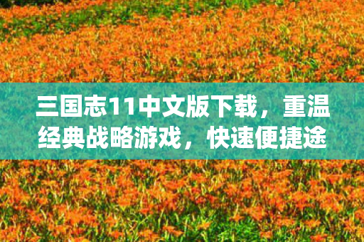 三国志11中文版下载，重温经典战略游戏，快速便捷途径！{一键安装}