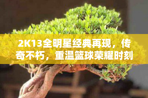 2K13全明星经典再现,传奇不朽,重温篮球荣耀时刻 2K13全明星经典再现,传奇不朽,重温篮球荣耀时刻