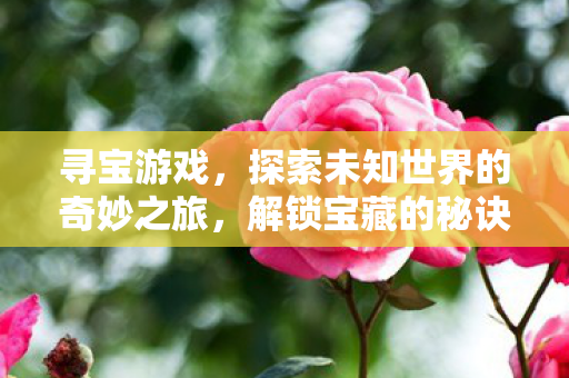 探索未知世界的奇妙之旅图片