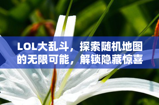 LOL大乱斗,探索随机地图的无限可能,解锁隐藏惊喜! LOL大乱斗,探索随机地图的无限可能,解锁隐藏惊喜!