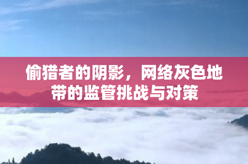 偷猎者的阴影，网络灰色地带的监管挑战与对策