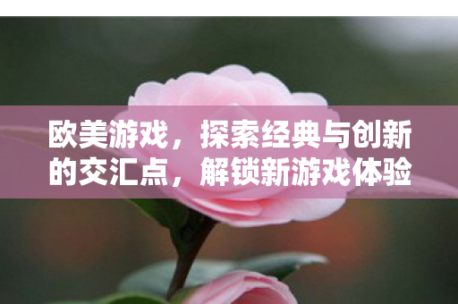 欧美游戏,探索经典与创新的交汇点,解锁新游戏体验! 欧美游戏,探索经典与创新的交汇点,解锁新游戏体验!