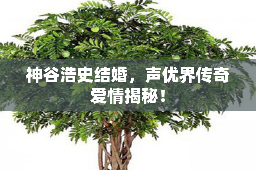 神谷浩史结婚,声优界传奇爱情揭秘! 神谷浩史结婚,声优界传奇爱情揭秘!