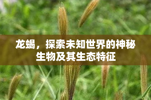 龙蝎，探索未知世界的神秘生物及其生态特征