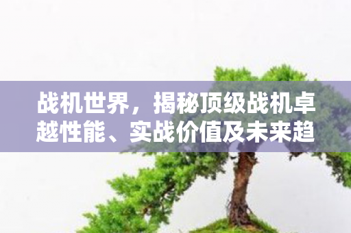 战机世界，揭秘顶级战机卓越性能、实战价值及未来趋势