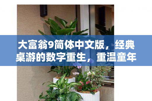 大富翁9简体中文版图片