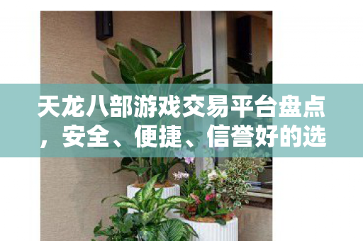 天龙八部游戏交易平台盘点，安全、便捷、信誉好的选择指南