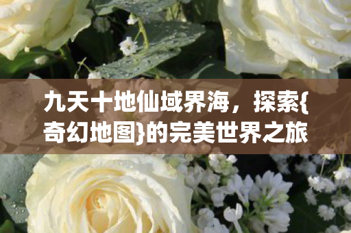 九天十地仙域界海图片