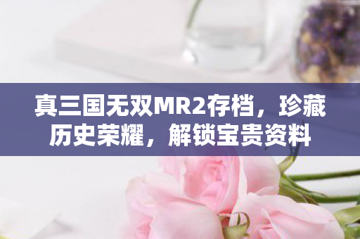 真三国无双MR2存档图片