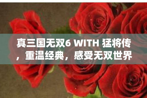 真三国无双6 WITH 猛将传，重温经典，感受无双世界的魅力，重温经典战役，重温历史荣光