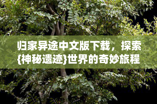归家异途中文版下载，探索{神秘遗迹}世界的奇妙旅程