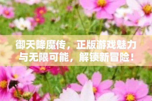 御天降魔传，正版游戏魅力与无限可能，解锁新冒险！