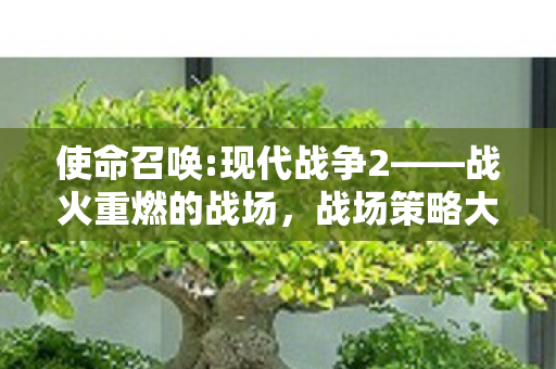 使命召唤:现代战争2——战火重燃的战场，战场策略大揭秘
