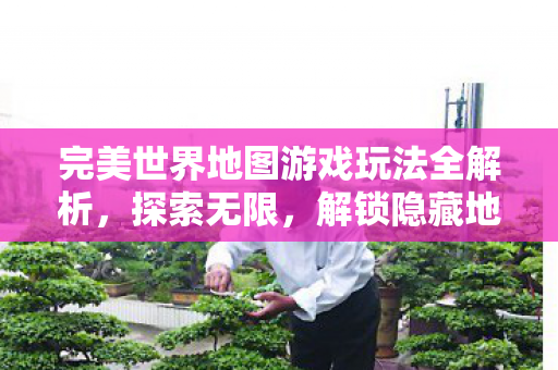 完美世界地图游戏玩法全解析图片
