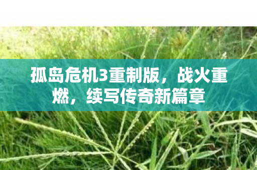 孤岛危机3重制版，战火重燃，续写传奇新篇章