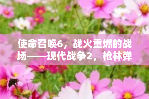 战火重燃的战场图片