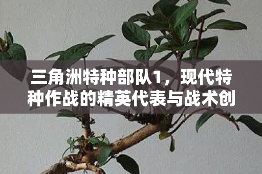 现代特种作战的精英代表与战术创新图片