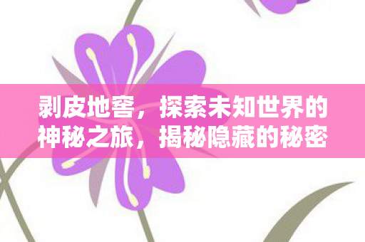剥皮地窖,探索未知世界的神秘之旅,揭秘隐藏的秘密通道! 剥皮地窖,探索未知世界的神秘之旅,揭秘隐藏的秘密通道!
