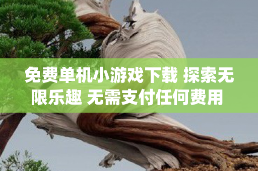 免费单机小游戏下载 探索无限乐趣 无需支付任何费用 | 热门游戏推荐
