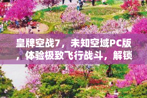 皇牌空战7，未知空域PC版，体验极致飞行战斗，解锁新战役！