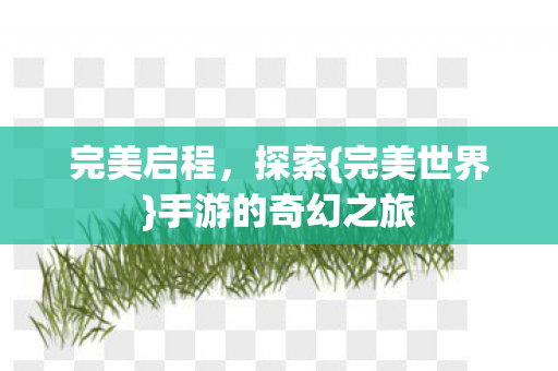 手游的奇幻之旅图片