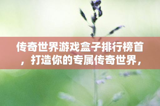 传奇世界游戏盒子排行榜首图片