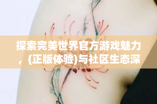探索完美世界官方游戏魅力图片