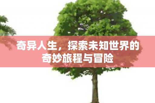 奇异人生，探索未知世界的奇妙旅程与冒险