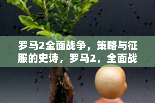 罗马2全面战争，策略与征服的史诗，罗马2，全面战争——策略与征服的史诗之旅