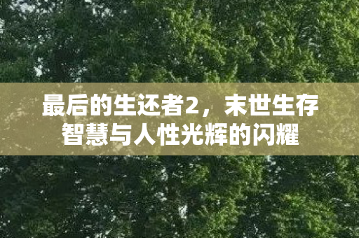 最后的生还者2，末世生存智慧与人性光辉的闪耀