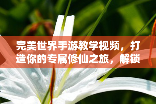 完美世界手游教学视频图片
